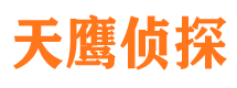 宕昌侦探公司